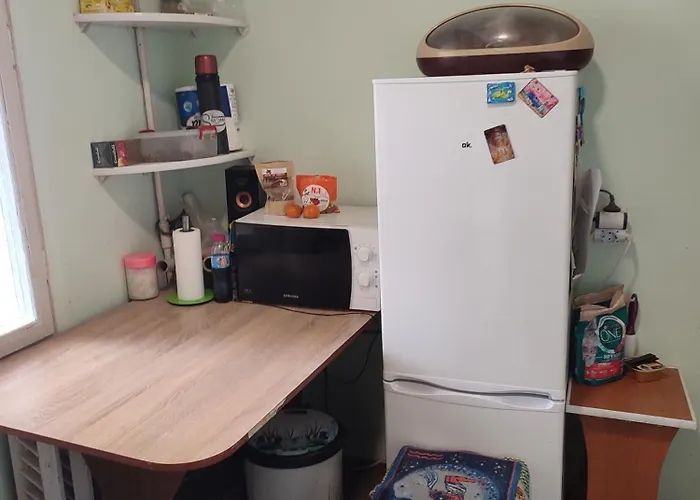 One Room In Apartment In The Park Center Area Of Chisinau